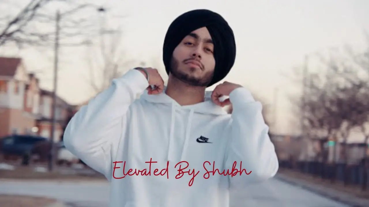 Elevated by Shubh Lyrics in Hindi