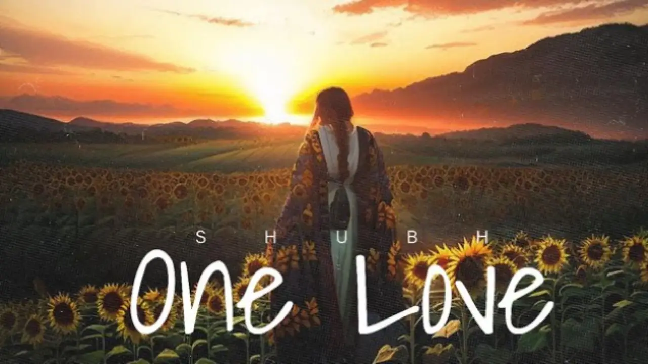 One Love lyrics in Hindi